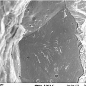 Meet your Posher, Nicholas